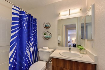Bathroom with Toilet, Mirror, Shower Curtain, and Wood Cabinets